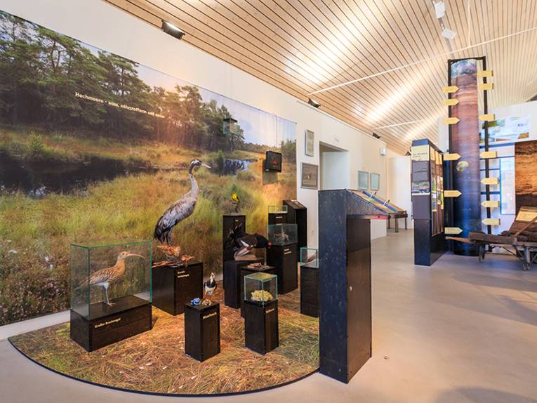  Moor-Erlebnis-Zentrum 'Mooriz' in der Wedemark