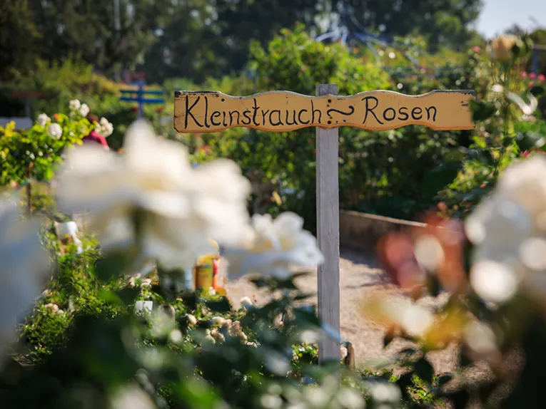  Rosengärten in Hemmingen