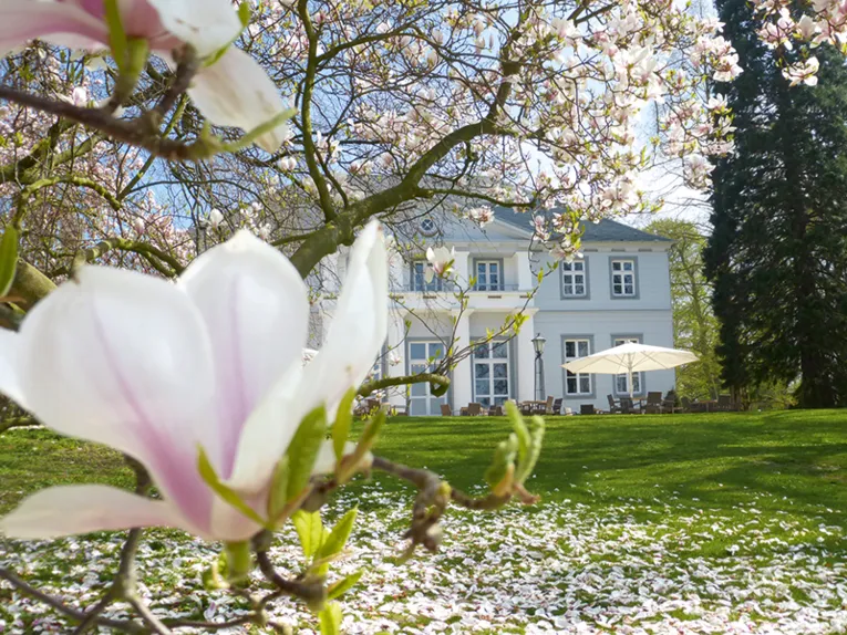 Petit château au-dessus de la promenade dans le Kurpark