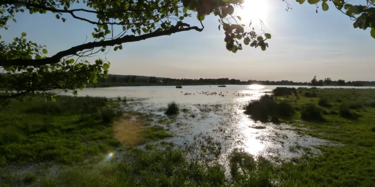 La faille marine à l'ouest du lac de Steinhude
