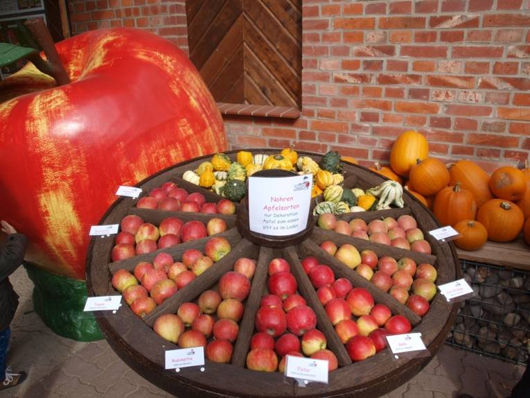 Apfelfest auf dem Nöhrenhof