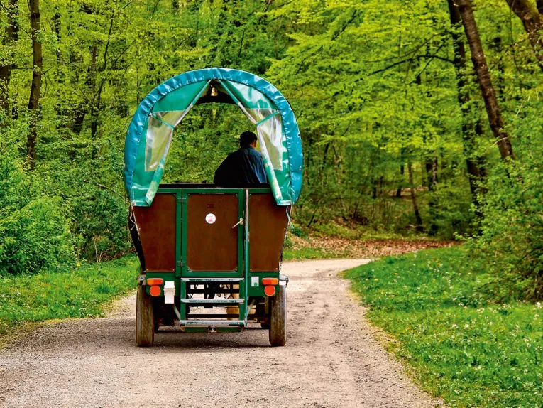 Covered wagon ride