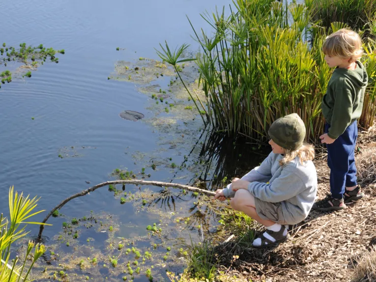 Kinder beim Entdecken am See