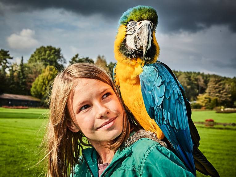 Papagei auf der Schulter einer Besucherin im Weltvogelpark