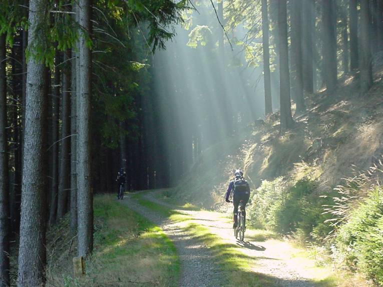 Mountanbiker