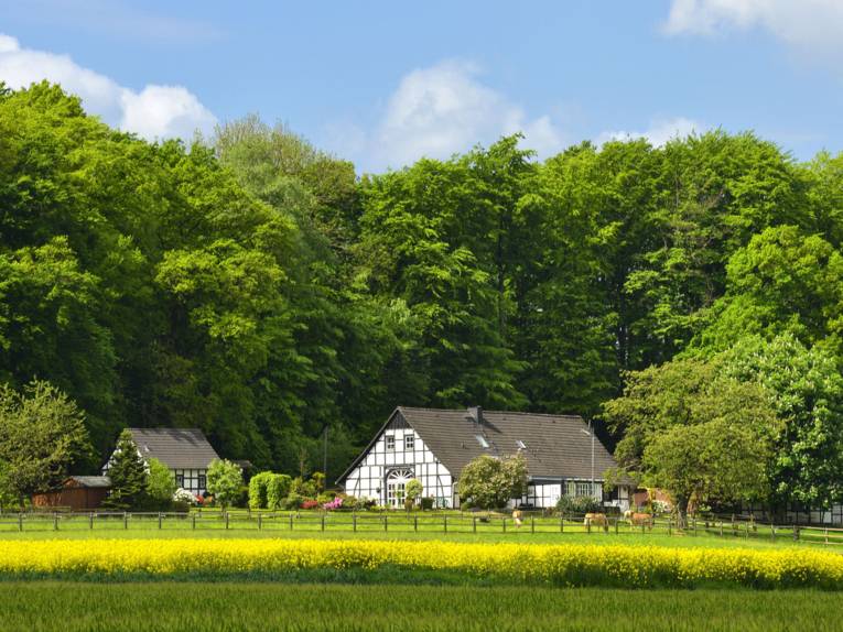 Fachwerkhof in Hagen 