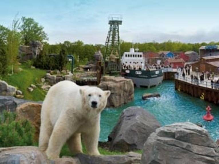 "Yukon-Bay" im Erlebnis-Zoo