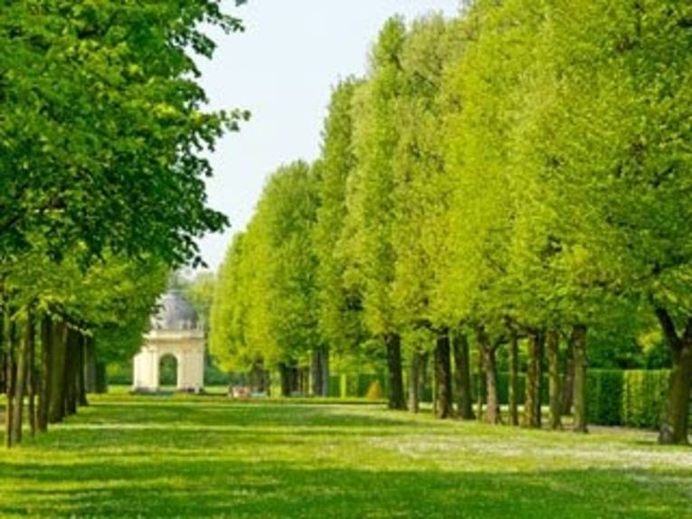 Herrenhausen