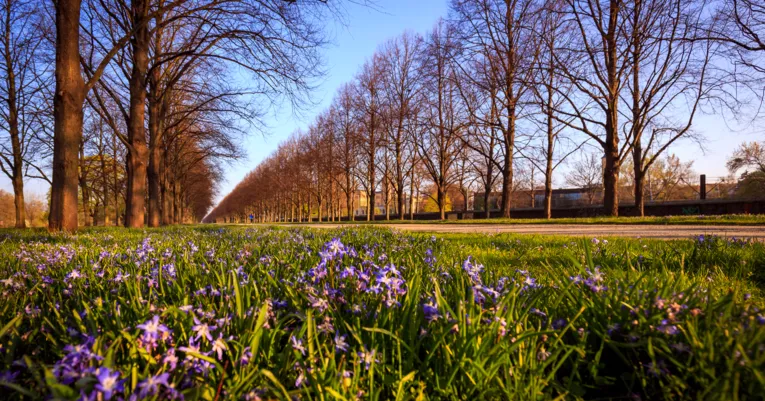 Herrenhäuser Allee
