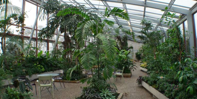 Blick ins Tropenschauhaus