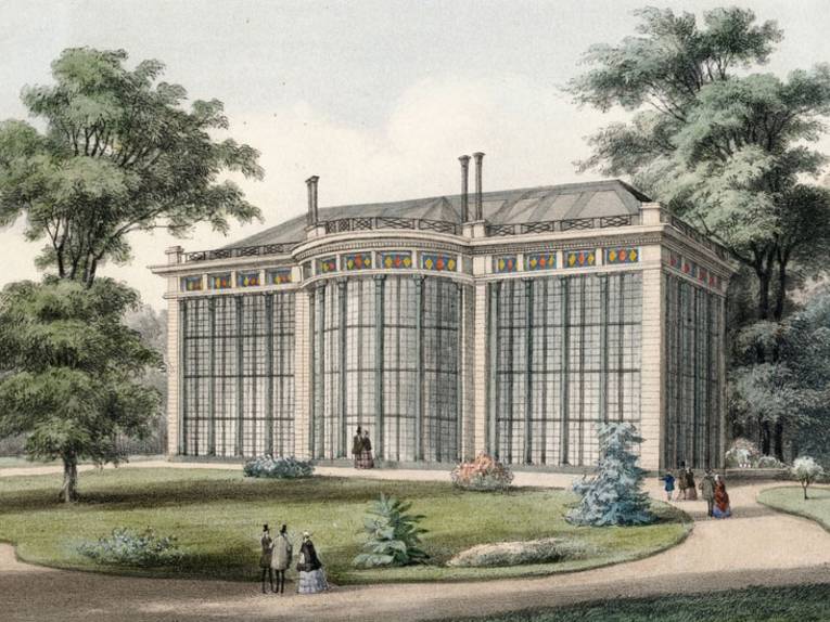 Palmenhaus im Berggarten (um 1850)