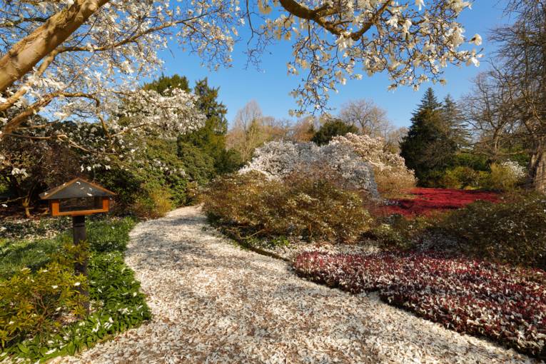 Paradies im Berggarten