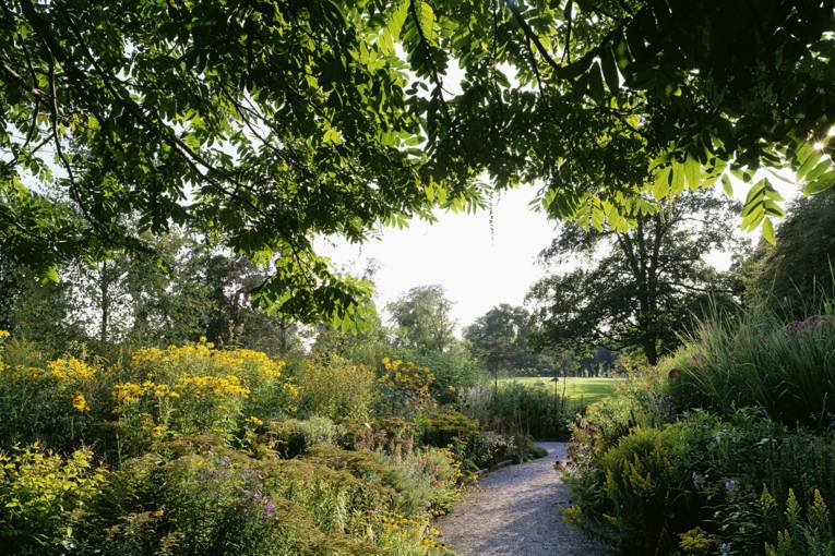 Prärie im Berggarten