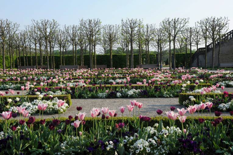 Fürstlicher Blumengarten