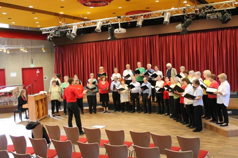 Die Frauen und Männer vom Gemischten Chor Döhren e.V. stehen im Halbkreis auf der Bühne und singen ein Lied. 