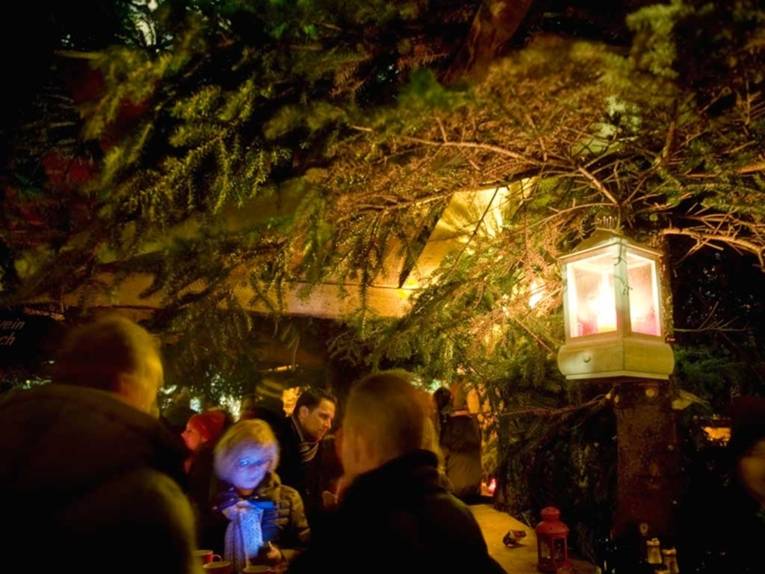 A lantern illuminates a fir tree in the Wishing Well Forest, beneath which a wooden stand has been set up.