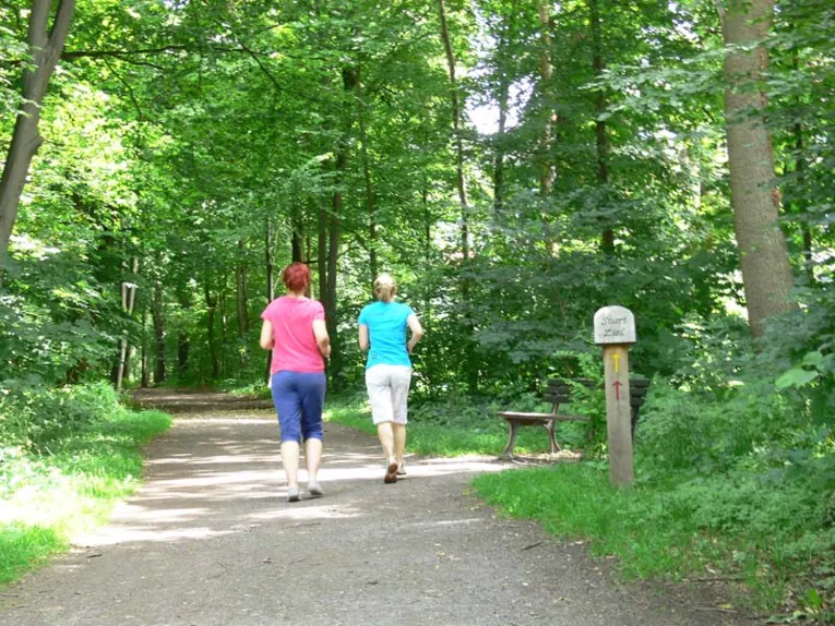 Två joggare i skogen