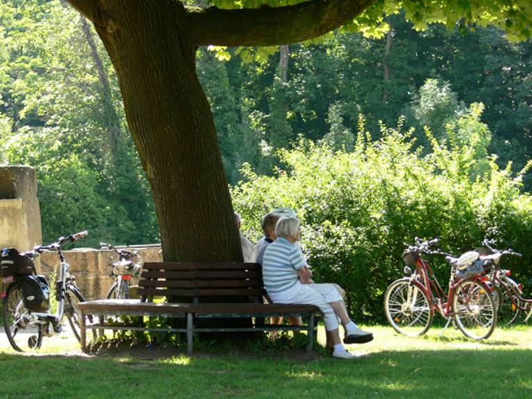 Teilnehmer einer Radtour rasten auf einer Bank unter einem alten Baum