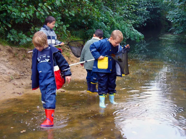 Kinderwald-Kinder beim Keschern
