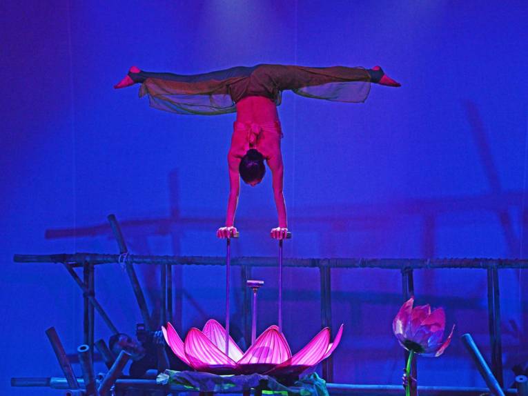 Frau balanciert im Kopfstand auf zwei Stäben