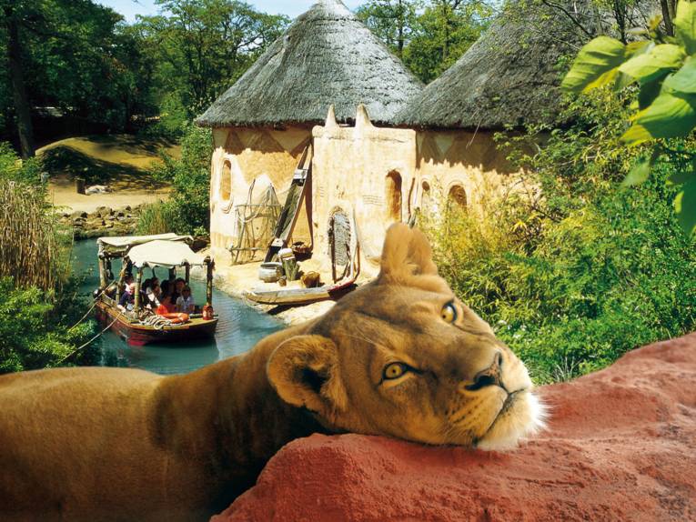 Fotomontage, Löwin vor Sambesi-Flusslandschaft