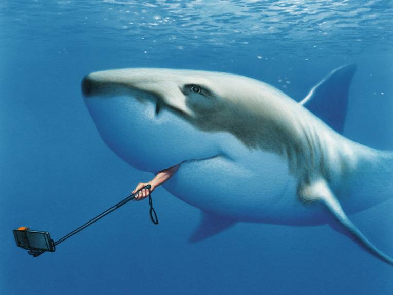 Zeichnung eines Haifisches, aus dessen Maul eine Hand ragt, die einen Selfie-Stick hält.