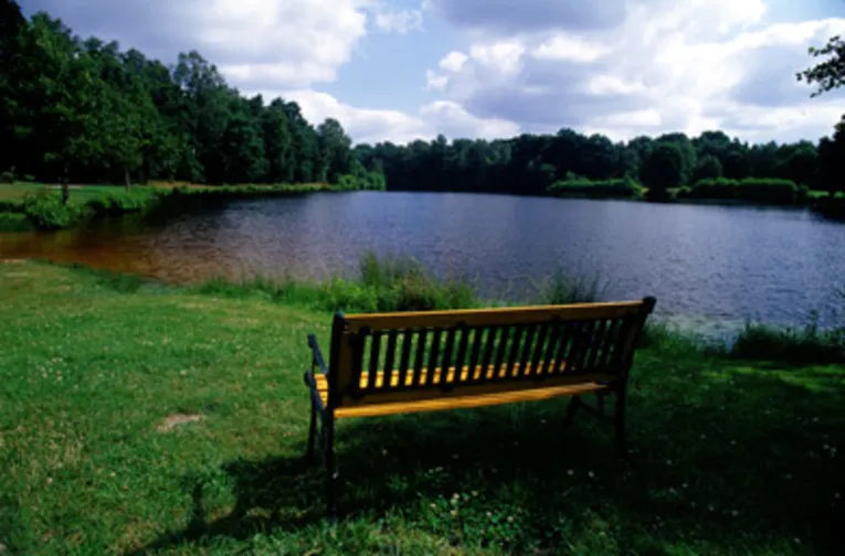 im Vordergrund eine Bank auf einer grünen Uferböschung, die Bank ist so aufgestellt, dass ein Sitzender in Richtung See schaut, der im Hintergrund zu sehen ist