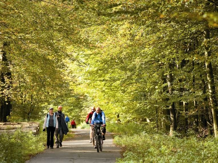 Biking Excursions in the Deister Forests