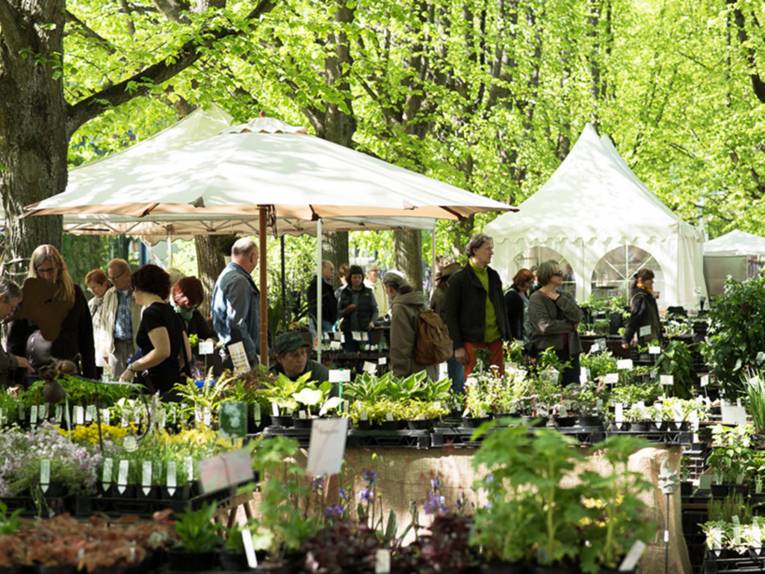 Besucherinnen und Besucher zwischen den aufgebauten Pflanzenständen, die zum Teil durch Sonnenschirme und Zelte beschattet werden