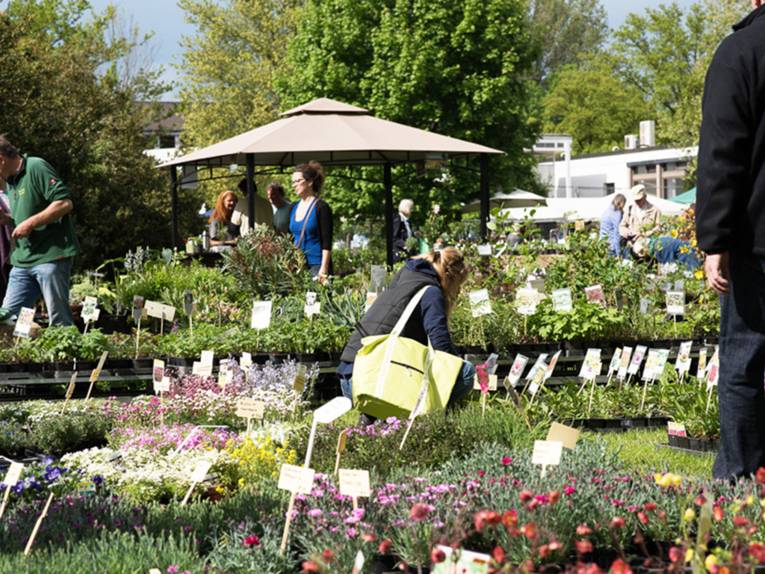 Eine Frau hockt in einer Reihe mit Staudenkübeln, um sich die Beschreibungen der Pflanzen durchzulesen