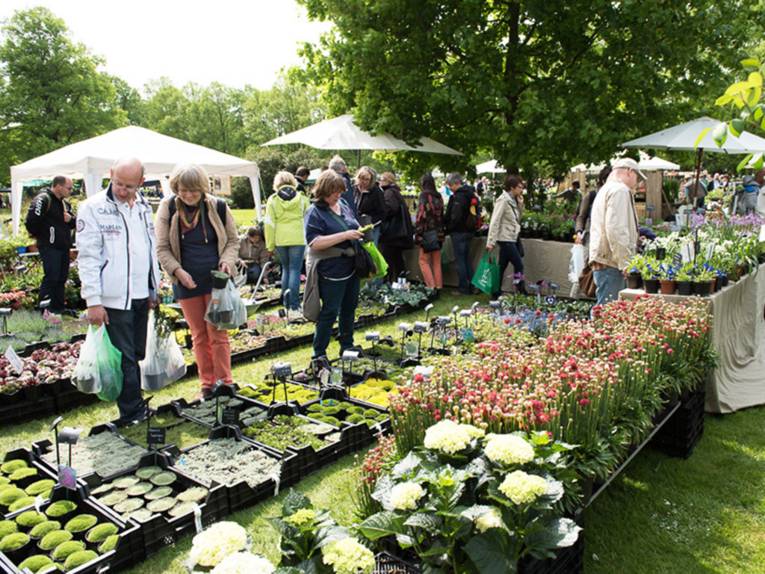 Besucherinnen und Besucher - zum Teil mit bereits gefüllten Einkaufstaschen - betrachten die vielfältigen Pflanzen an mehreren Ausstellungsreihen
