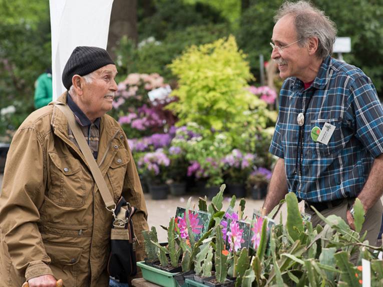 Ein älterer Besucher im Gespräch mit einem Verkäufer an einem Stand, auf dem Sukkulenten zum Verkauf angeboten werden.