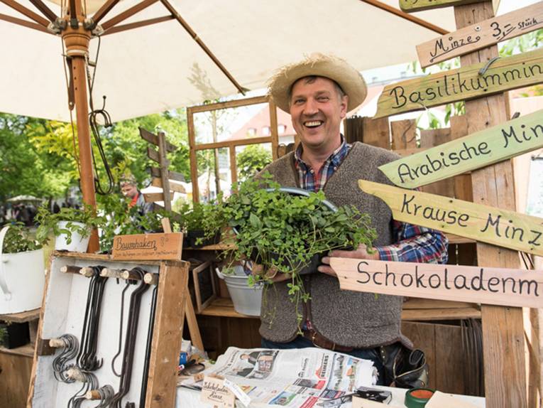 Ein lachender Verkäufer mit Weste und Strohhut hält eine Minz-Pflanze in der Hand, während zahlreiche Holzschilder rechts auf die verschiedenen Minzsorten aufmerksam machen