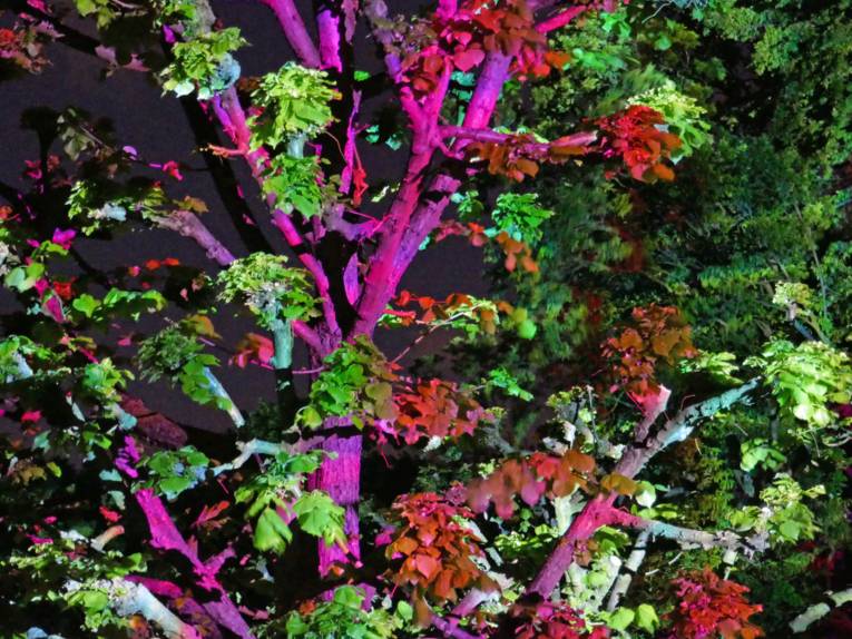 KunstFestSpiele Herrenhausen 2017