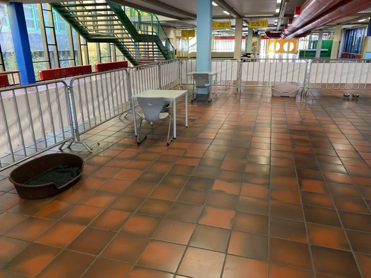 Eine große Halle mit Tischen, Stühlen, Absperrungen und Hundekörben. 