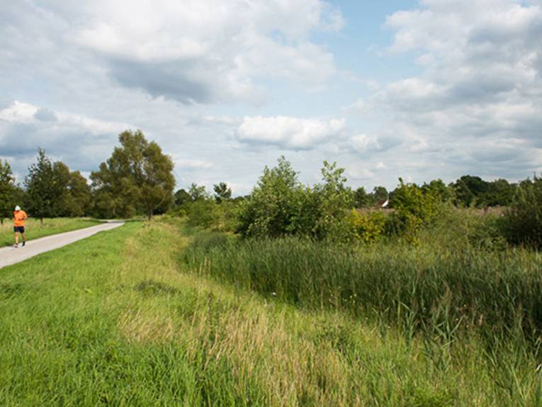 Eine Wildnis-Fläche. 