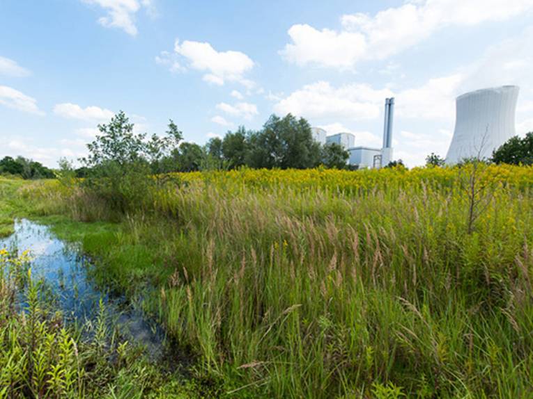 Eine Wildnis-Fläche. 