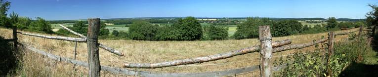 Naturpark-Steinhuder-Meer