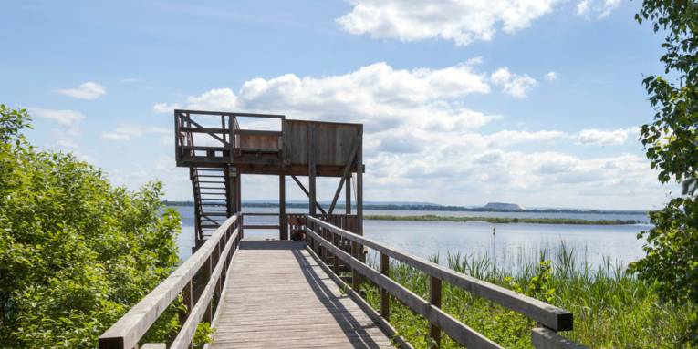 Ein Steg führt zu einem Aussichtsturm, von dem aus sich das Steinhuder Meer überblicken lässt.
