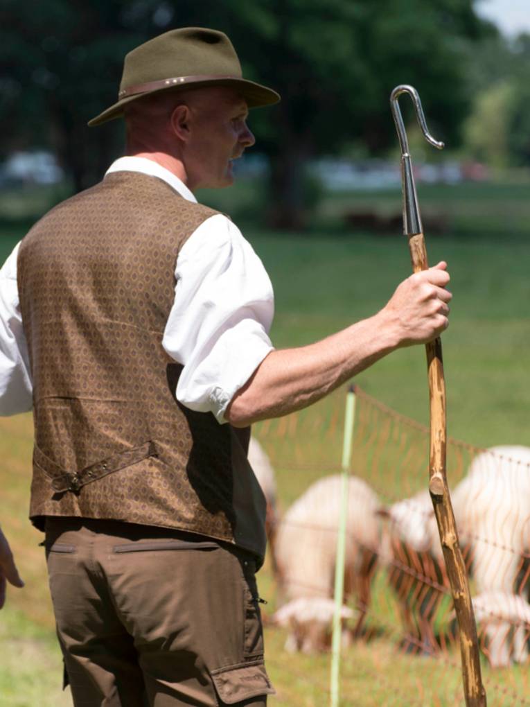 Ein Schäfer steht bei seinen eingezäunten Schafen.