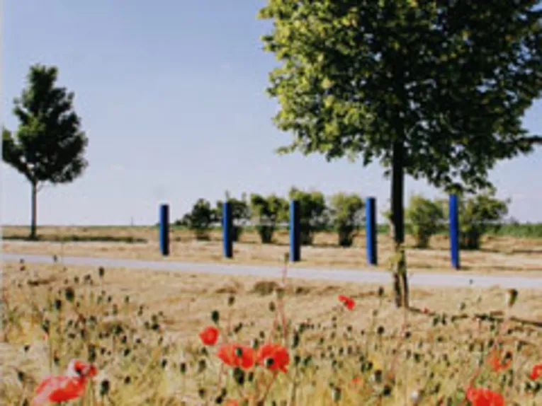 Mohnblumen, Weg, Baum und blaue Stelen