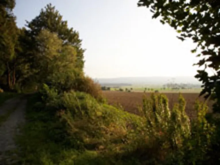 Erholungsgebiete Gehrdener und Benther Berg